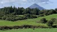 Man, 78, suffered fatal head injuries climbing Croagh Patrick