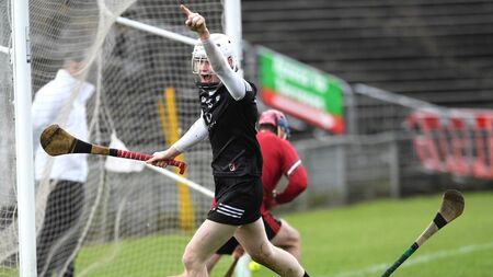 League final victory is double the delight for Mayo management