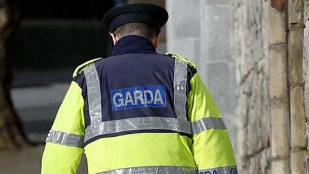 Gardaí urged to develop new policy to address racial profiling