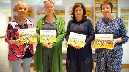 New Bumblebee book creates a buzz  