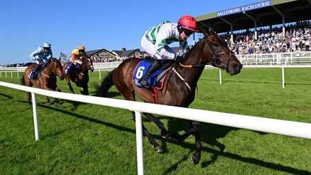 Ballinrobe Racecourse gears up for an exciting 2024 season