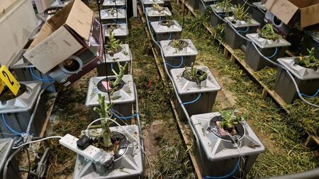 Second major drug seizure in the West in just 24 hours