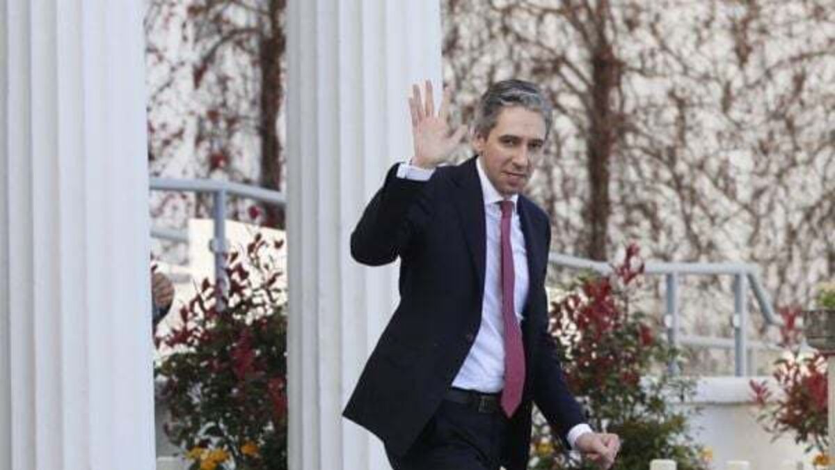 Taoiseach to raise Ireland's proposal to recognise Palestine with von der Leyen