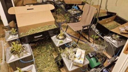 Trio arrested over €700,000 cannabis seizure in west, charged by Gardaí