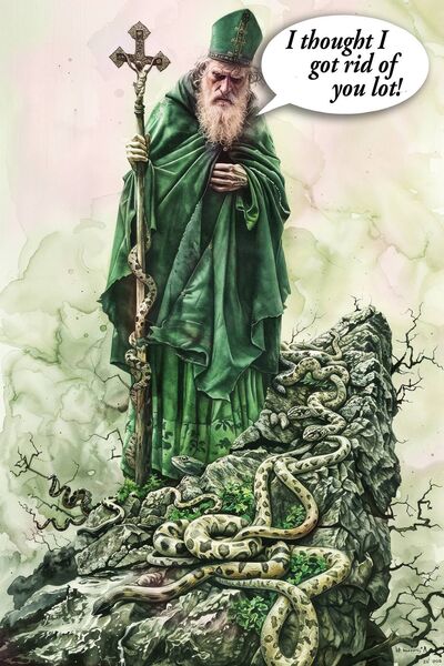The amalgamation of four dioceses in Connacht is no mere bureaucratic reassignment but rather a wrenching severance from a heritage stretching back to St Patrick's own missionary journey. Illustration: Conor McGuire