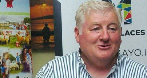 Call for further forestry regulations 