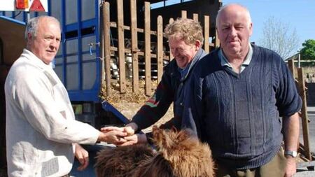 Ballaghaderreen to revive May Fair Day tradition