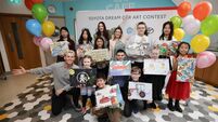 Mayo student stars in Toyota car art contest