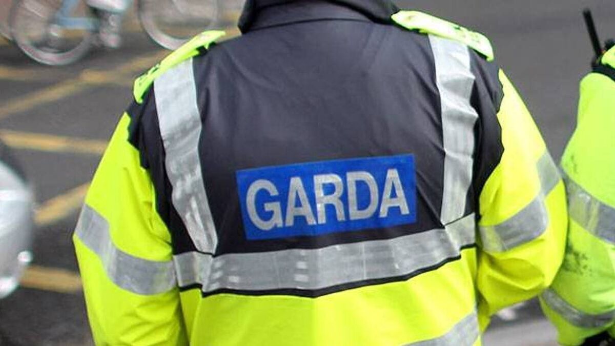 Gardaí issue appeal for info after criminal damage incident