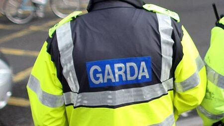 Gardaí issue appeal for info after criminal damage incident