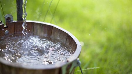 State body declared 'not fit for purpose' by councillor