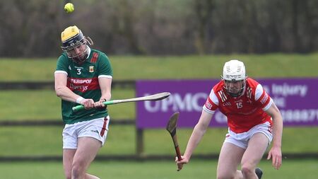 Hurlers bounce back Louth and clear from Rackard set-back