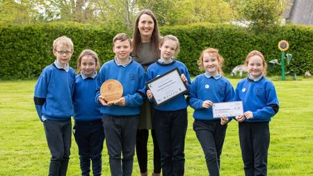 Mayo school named regional Travel School of the Year