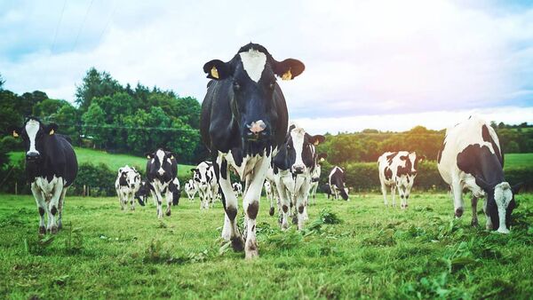 Farmers are told not to fear a marked increase in Mayo County Council inspections