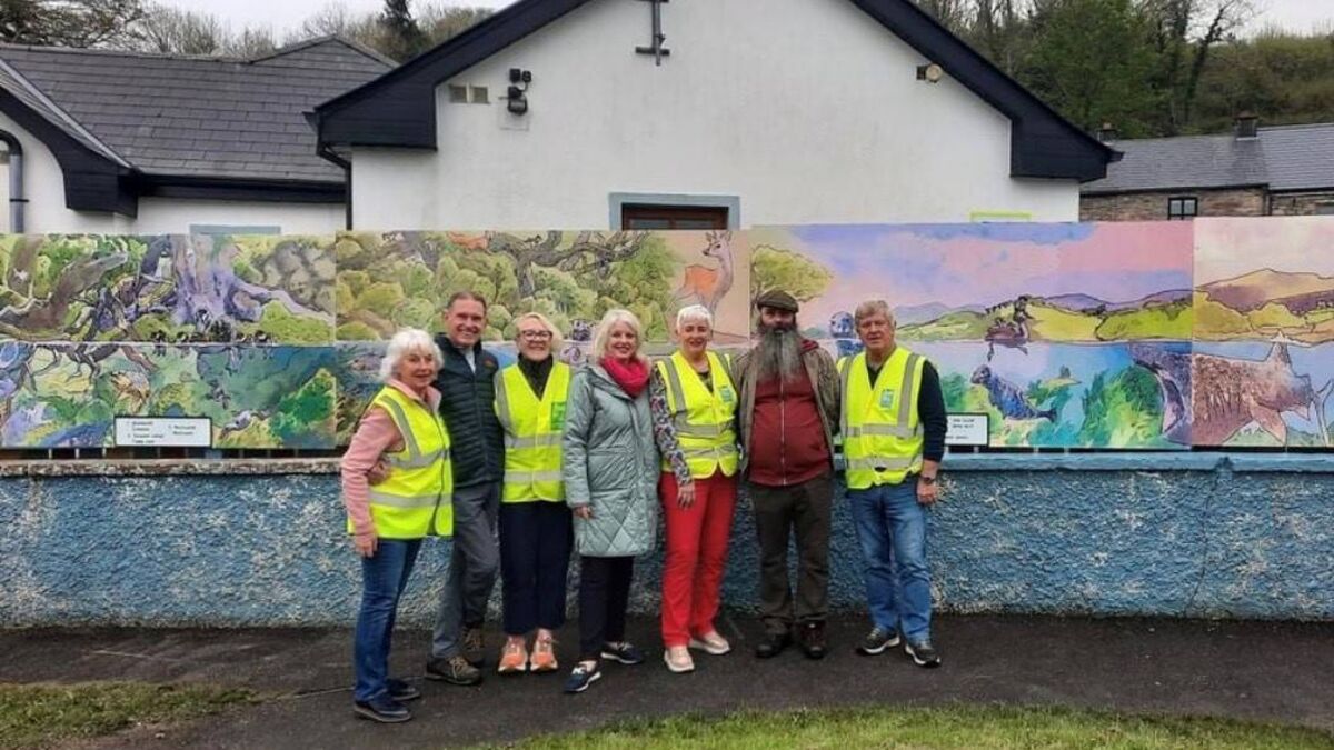 Tidy Towns group unveils stunning mural in Mayo town