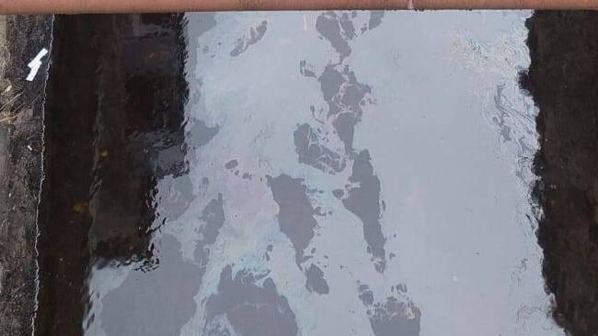 Investigations continuing into source of an oil spill in river in Mayo town