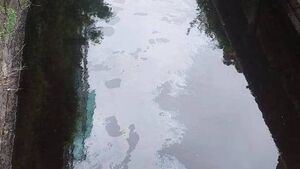 Local authority using oil absorbent floats to tackle oil spill in Mayo river