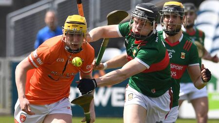 Mayo ready for knock-out showdown with Rossies