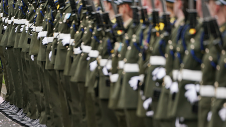 Defence Forces prohibition on soldiers attending protests unconstitutional, court rules