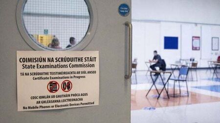 Leaving Certificate should be scrapped, Labour spokesman says