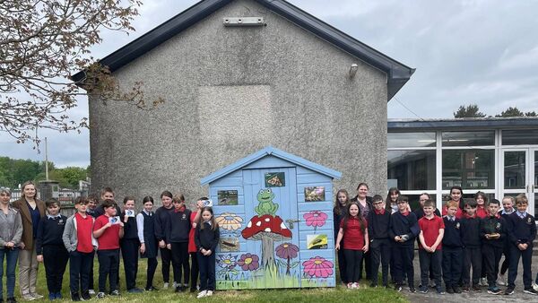 Local Notes: Official launch of the Swift Nest Box Project at Gaelscoil na gCeithre Maol, Ballina.
