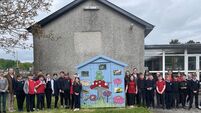 Local Notes: Official launch of the Swift Nest Box Project at Gaelscoil na gCeithre Maol, Ballina.