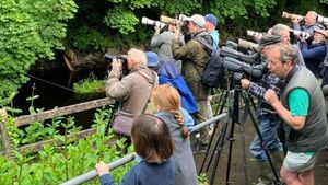 Unexpected visitor delivered tourism boom to Mayo village in 2024