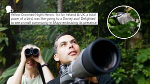 'Mayo embracing its presence' - social reacts to unique Belcarra rare bird