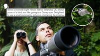 'Mayo embracing its presence' - social reacts to unique Belcarra rare bird