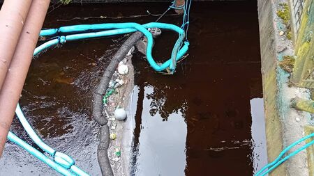 Permanent dam could solve pollution issue in tributary to River Moy