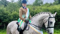 Local Notes: Swinford draught mare wins Irish Draught Championship and Ridden Hunter Championship at Athenry Show.