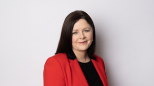 The Labour party is a ‘survivor’, MEP candidate says