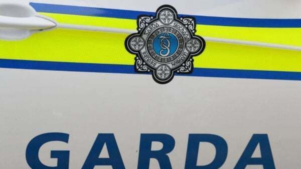 Operation Thor: 23 people arrested in Dublin in connection with organised crime
