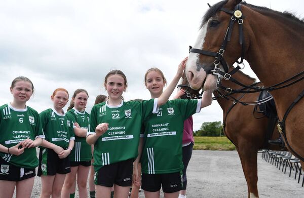 Charlestown Ladies players with horses from the Garda mounted unit who were in attendance at the opening of the Colm Horkan Memorial Pitch and Walkways. Picture: Conor McKeown Charlestown Ladies players with horses from the Garda mounted unit who were in attendance at the opening of the Colm Horkan Memorial Pitch and Walkways. Picture: Conor McKeown
