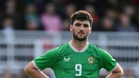 West of Ireland links to Ireland's latest squad member