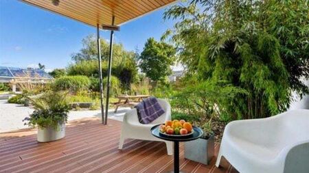 Stylish Clare home is a real paradise for plant lovers