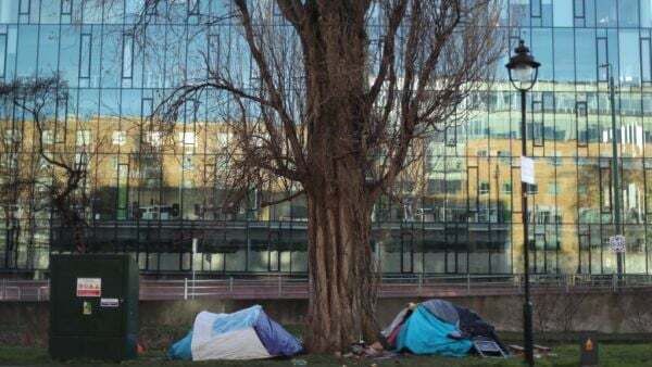 Over 55,000 adults became homeless between 2014 and 2023 – report