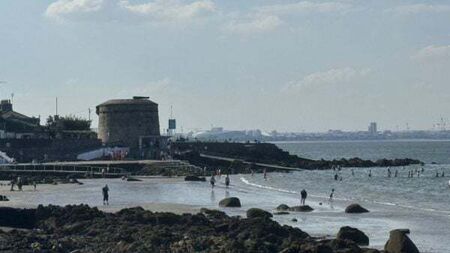 Judge allows residents near Dublin swim spot to challenge planning for 387 apartments