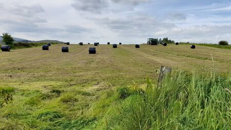 Love it or loathe it, silage is now the established form of animal fodder