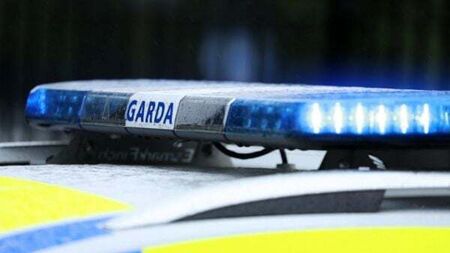 Man arrested after seizure of drugs worth €285,000 in Laois