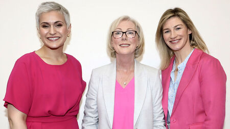 Edwin McGreal: Celebrity candidates reveal much about Irish politics