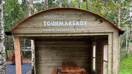 Coillte tackles invasive species in Mayo wood