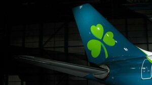 Aer Lingus cancels 50 further flights ahead of pilots' industrial action Aer Lingus cancels 50 further flights ahead of pilots' industrial action