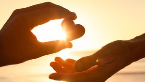 Ballina students raise significant funds for charities