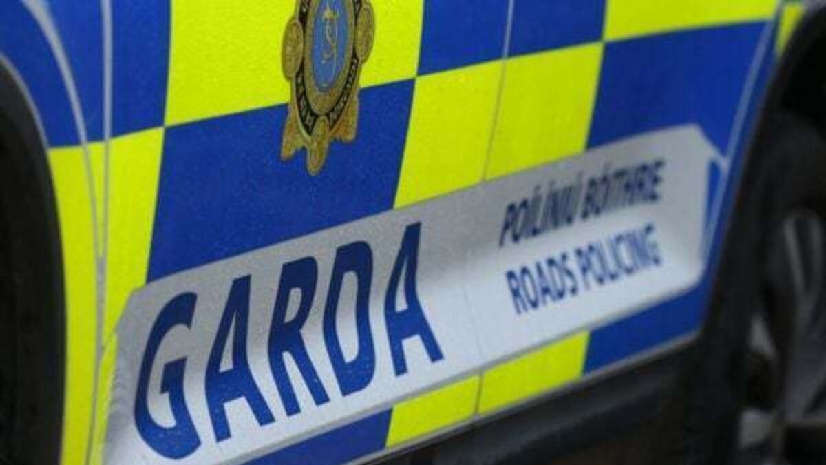 Woman (80s) dies after being hit by van in Carlow town