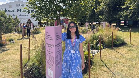 Ballina Designer wins silver at prestigious Garden Festival