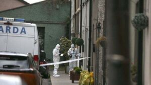 Bloodstained woman who was found naked on street told garda: 'I killed my mother'