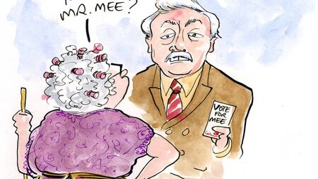 The savaging of the town councils