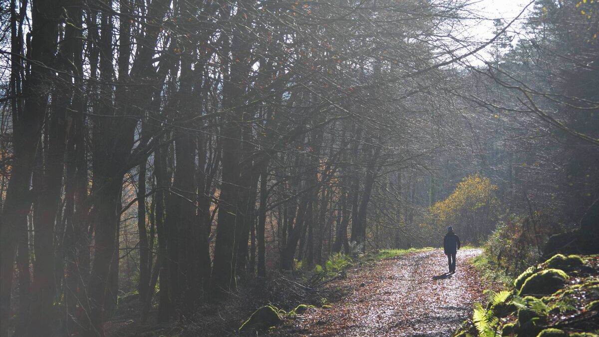 National Parks can offer a lot to rural areas