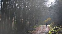 National Parks can offer a lot to rural areas